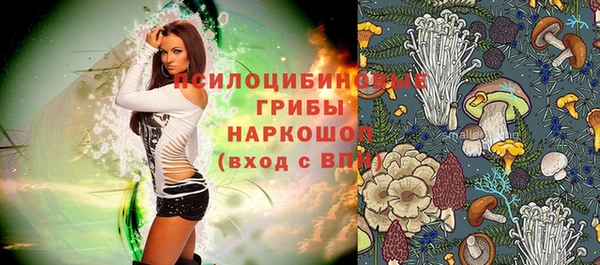 a pvp Абинск
