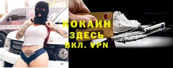прущие грибы Абаза