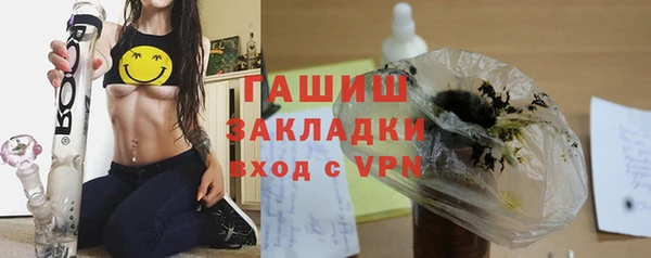прущие грибы Абаза