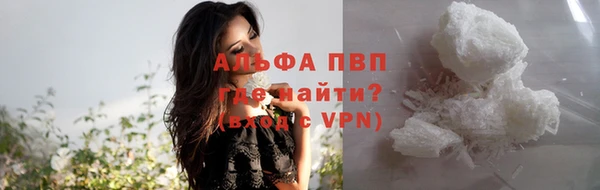 прущие грибы Абаза
