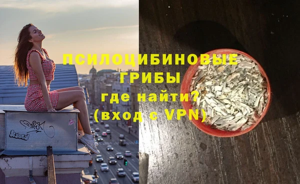 молекула духа Алексин