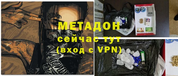 прущие грибы Абаза
