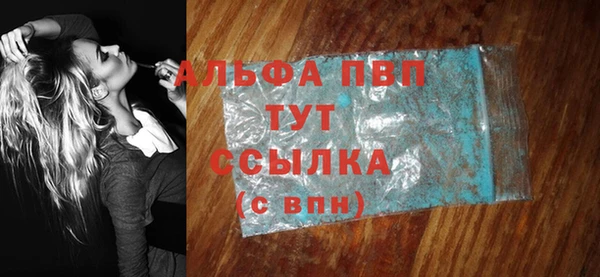 прущие грибы Абаза