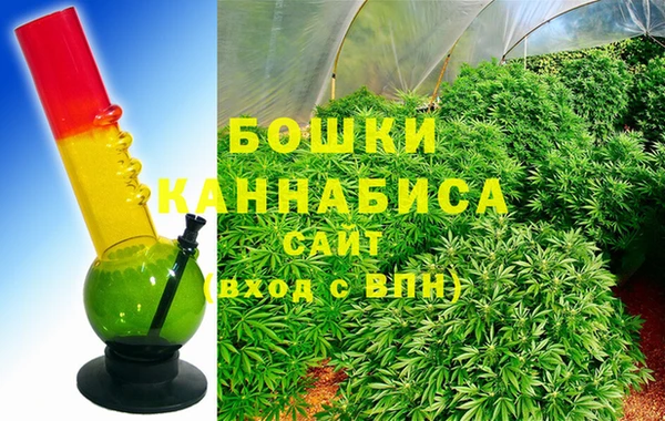 PSILOCYBIN Абдулино