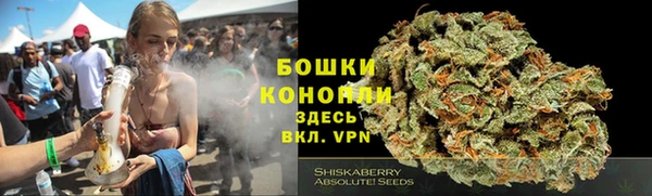 PSILOCYBIN Абдулино