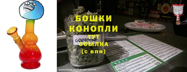 прущие грибы Абаза