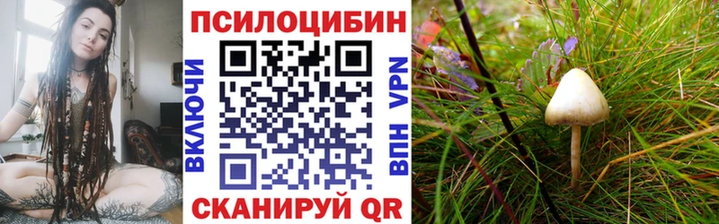 Галлюциногенные грибы ЛСД  продажа наркотиков  Вытегра 